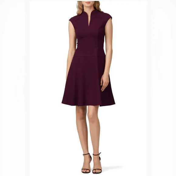 Nanette Lepore Dresses & Skirts - Nanette Lepore,Fit and Flare silhouette Knee Length Sleeveless Plum Dresssize 10